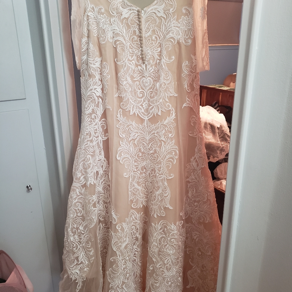 Couture wedding dress